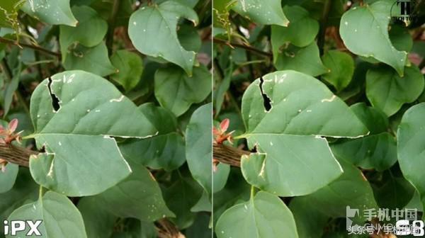 iPhone X與三星S8拍照對(duì)比 結(jié)果無(wú)懸念？